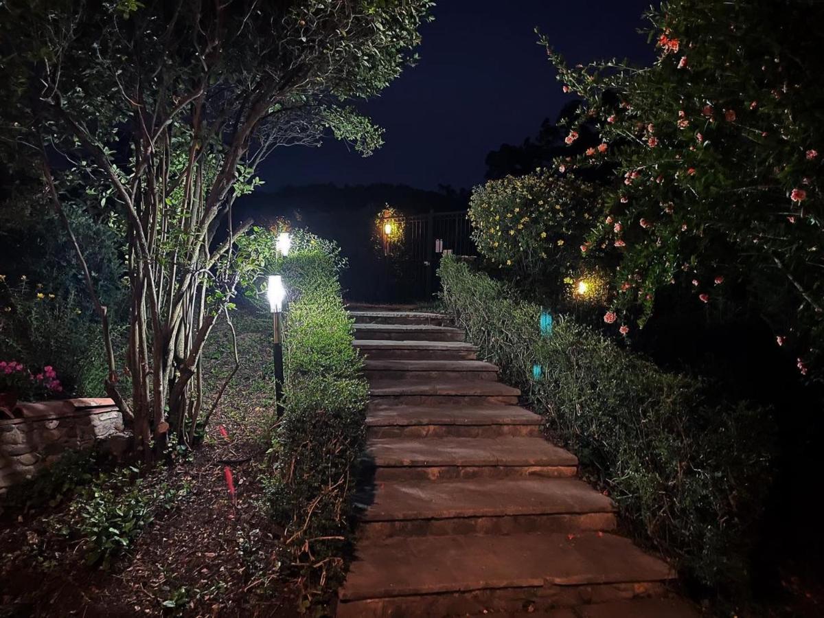 Giardino Delle Camelie