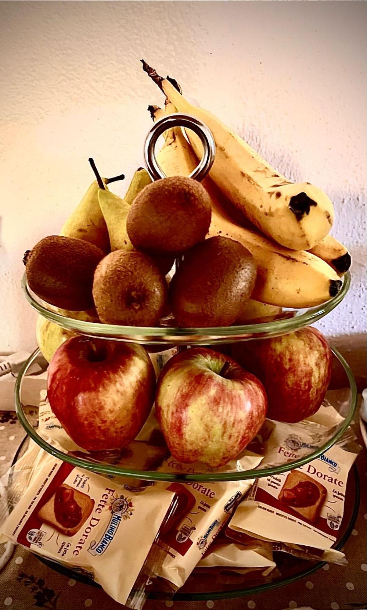 Bed & Breakfast Giardino Delle Camelie *